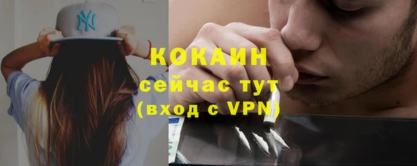 шишки Абинск
