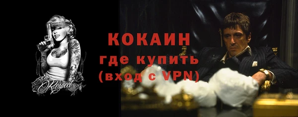 шишки Абинск