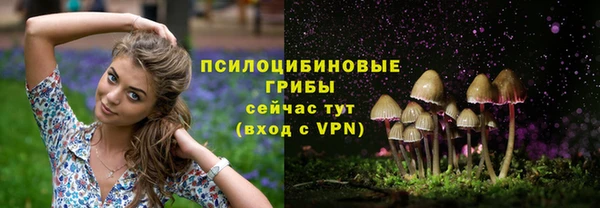 каннабис Алзамай