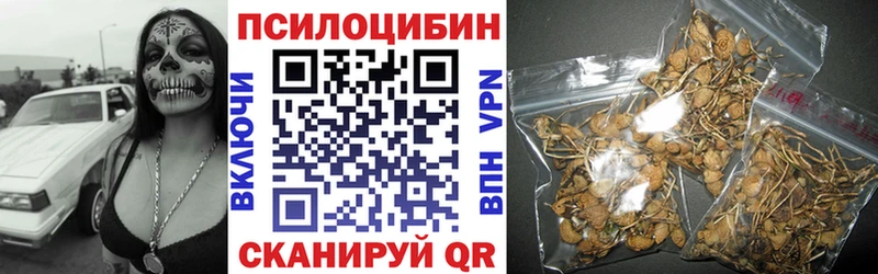 hydra зеркало Пошехонье Галлюциногенные грибы Psilocybe